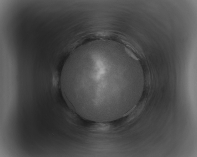 X0000101090328200806261456