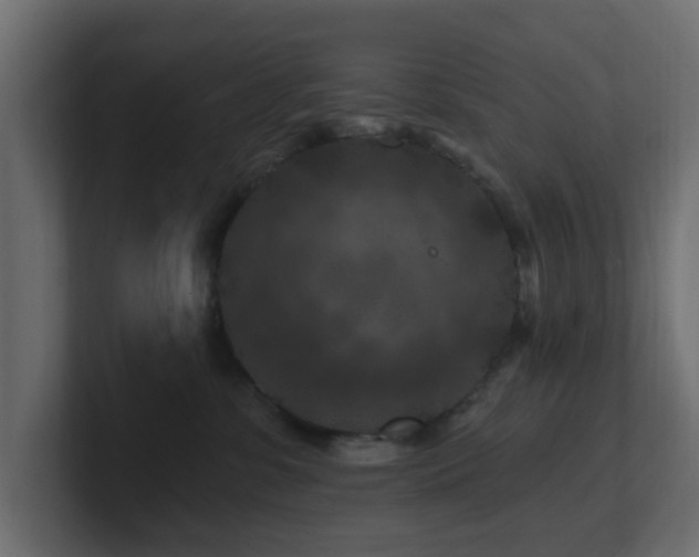 X0000101090331200806261456