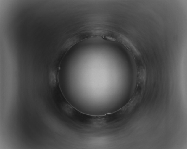 X0000101090333200806261456