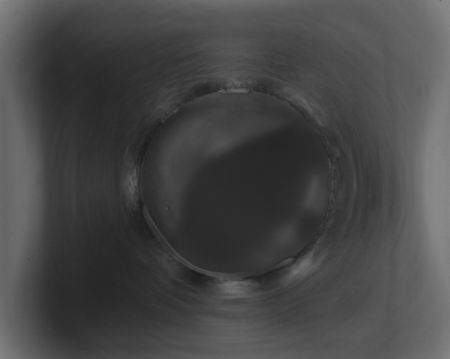 X0000101090336200806261456