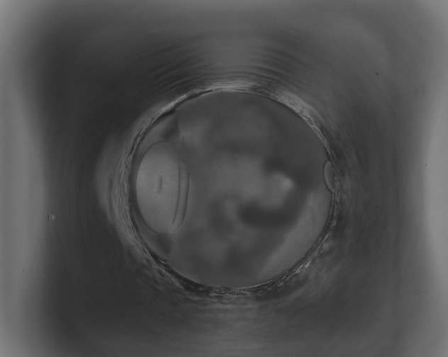 X0000101090337200806261456