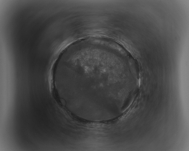 X0000101090339200806261456