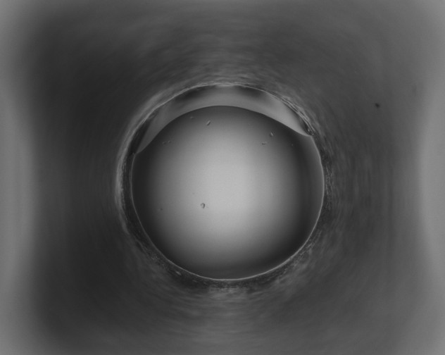 X0000101090340200806261456