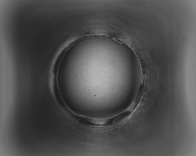 X0000101090342200806261456