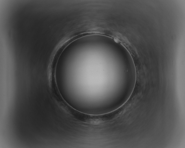 X0000101090344200806261456