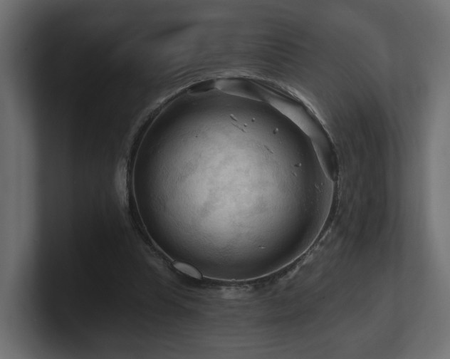 X0000101090345200806261456