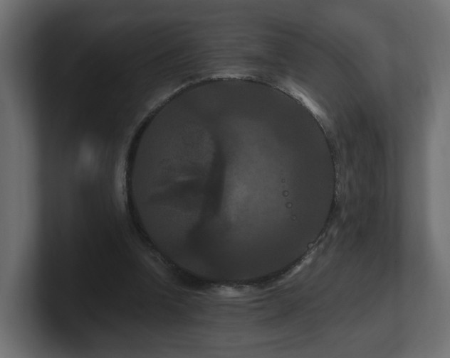 X0000101090346200806261456