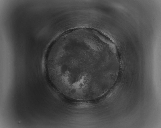 X0000101090347200806261456