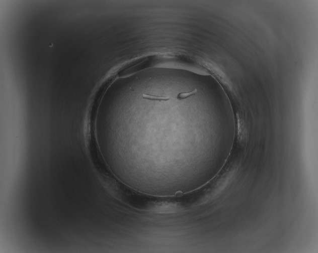 X0000101090348200806261456