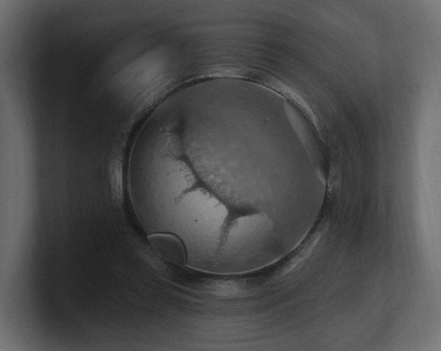 X0000101090349200806261456