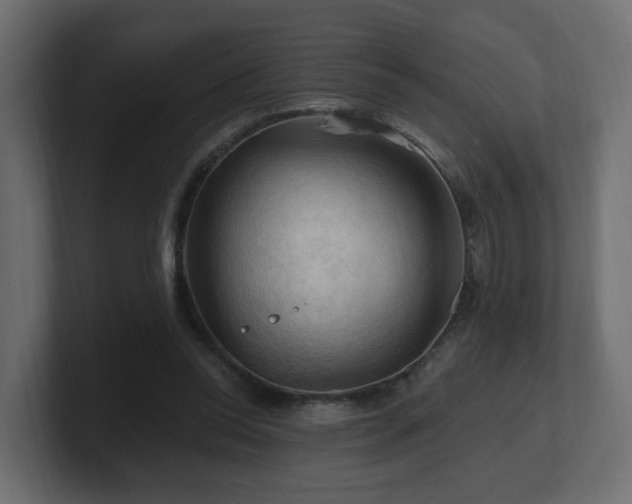 X0000101090350200806261456