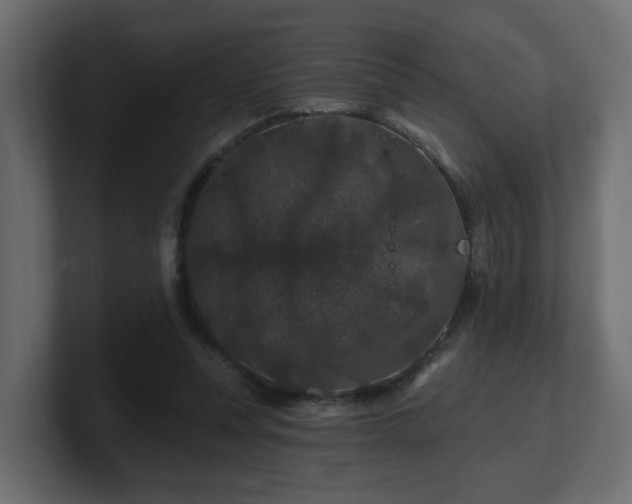 X0000101090351200806261456