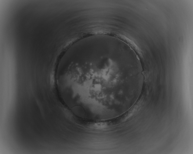 X0000101090353200806261456