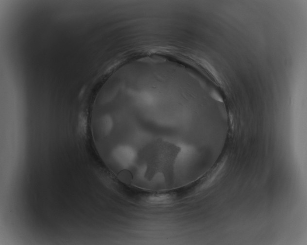 X0000101090357200806261456