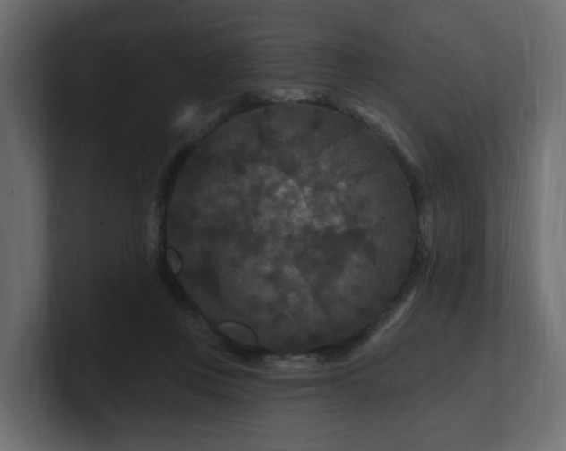 X0000101090359200806261456