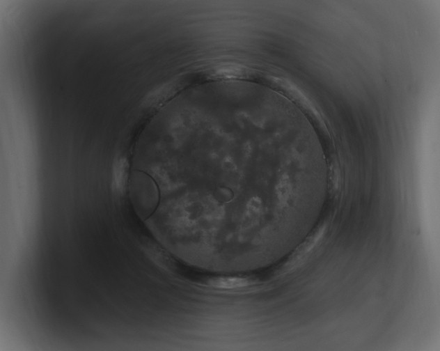 X0000101090361200806261456