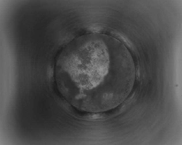 X0000101090365200806261456