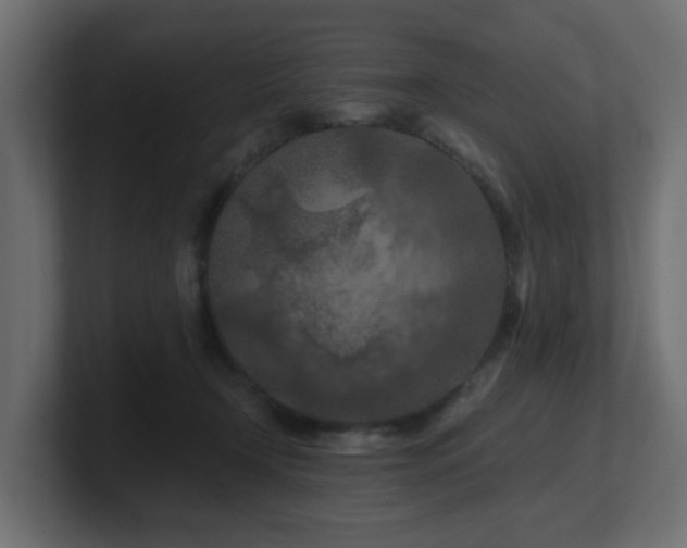 X0000101090366200806261456