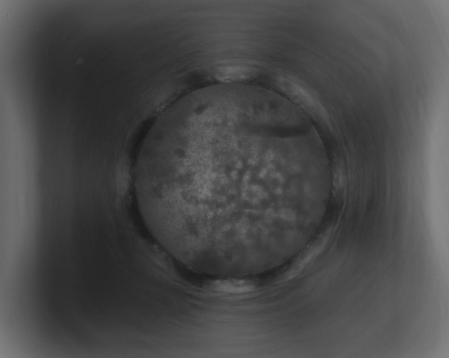 X0000101090367200806261456