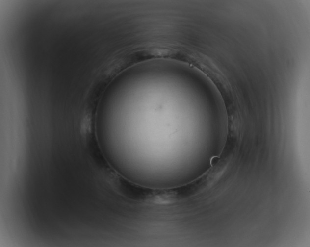 X0000101090368200806261456