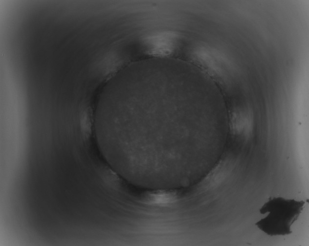 X0000101090370200806261456