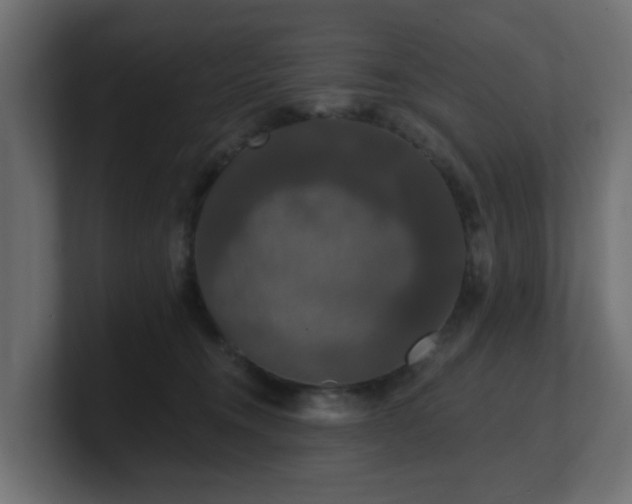 X0000101090372200806261456