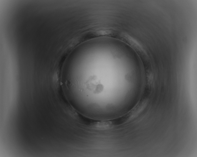 X0000101090373200806261456