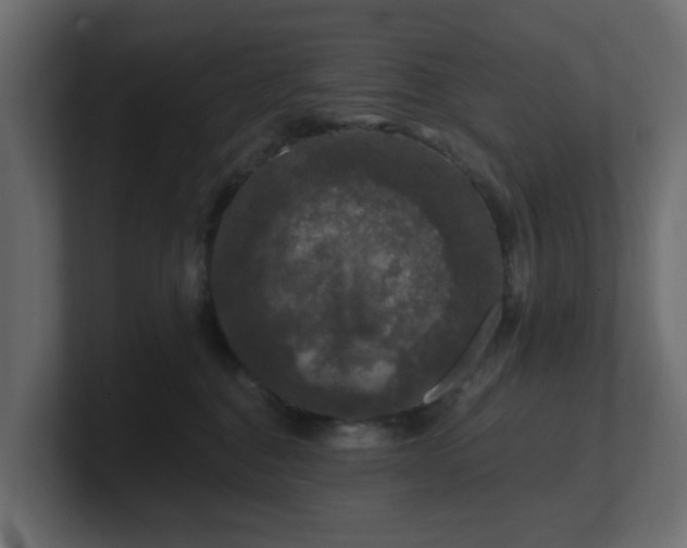 X0000101090376200806261456