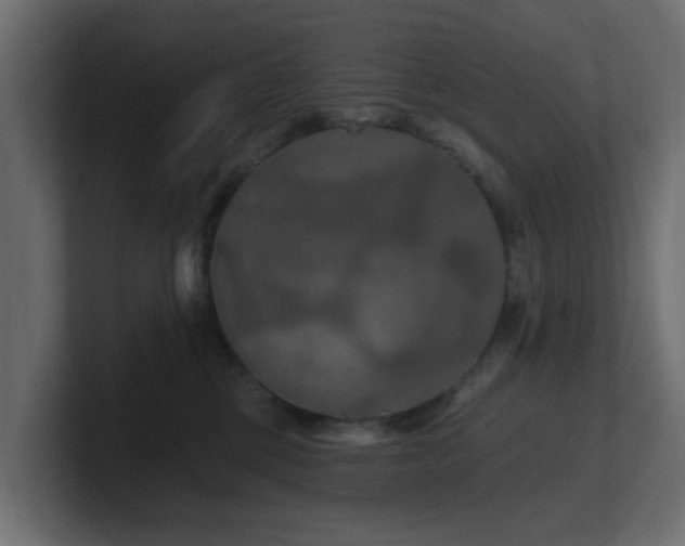 X0000101090377200806261456