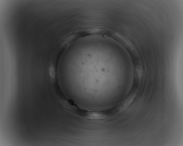 X0000101090380200806261456