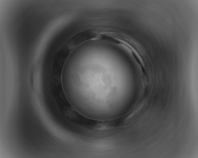 X0000101090381200806261456