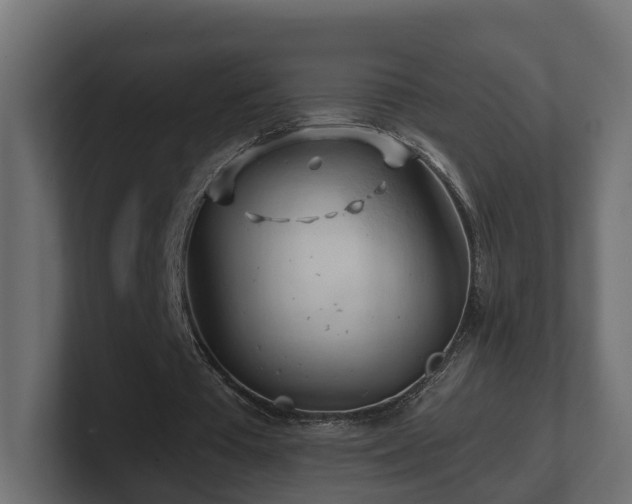 X0000101090385200806261456