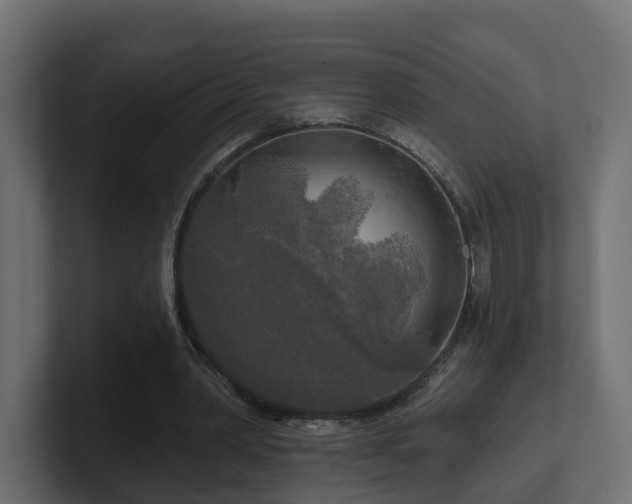 X0000101090390200806261456