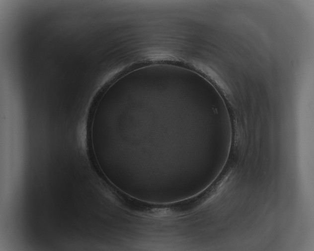 X0000101090391200806261456