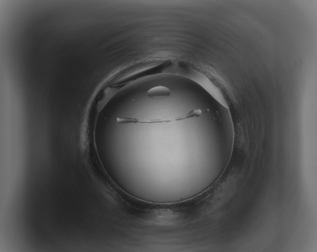 X0000101090392200806261456