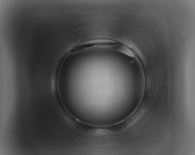 X0000101090393200806261456