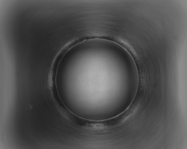 X0000101090395200806261456