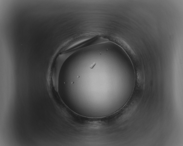 X0000101090396200806261456