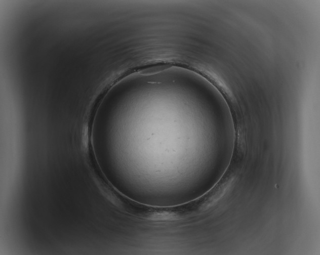 X0000101090397200806261456