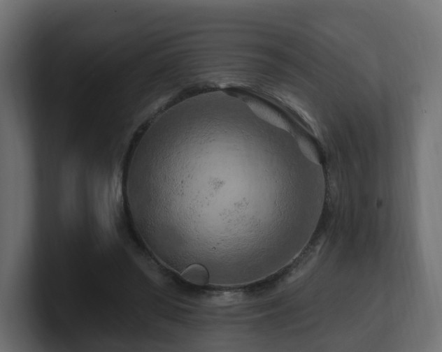 X0000101090398200806261456