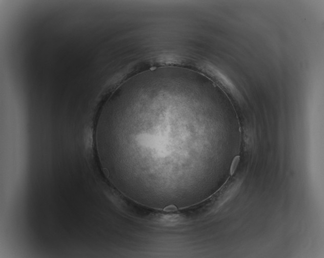 X0000101090401200806261456