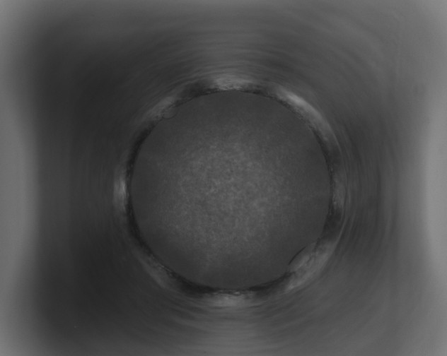 X0000101090405200806261455