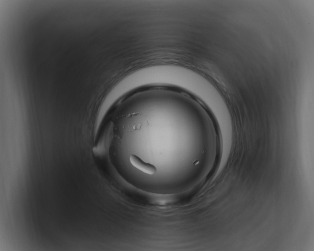 X0000101090411200806261455