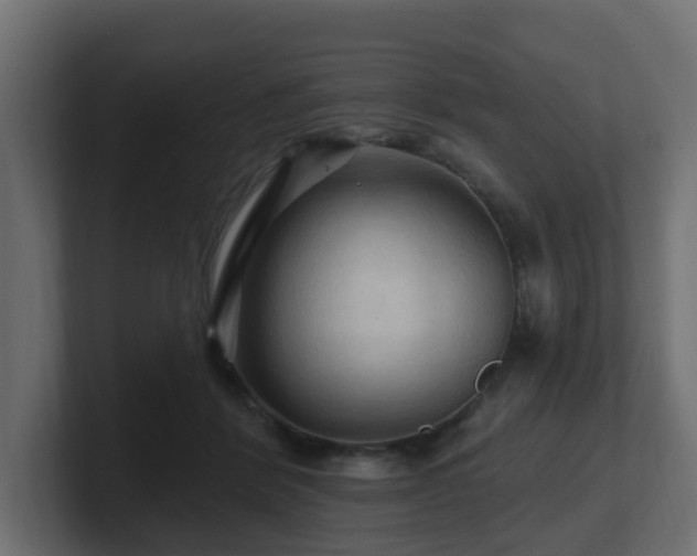 X0000101090412200806261455