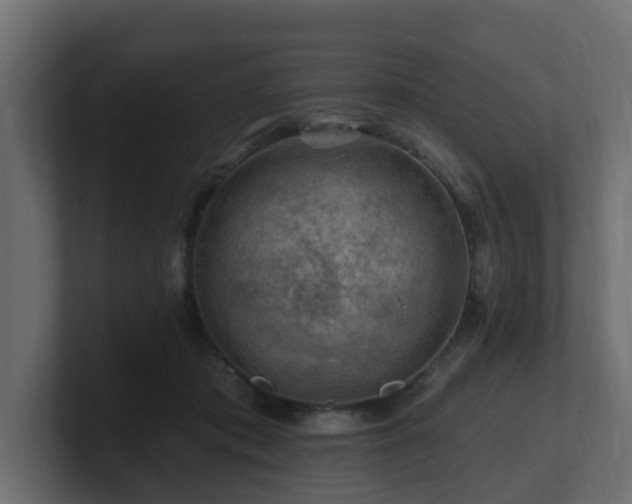 X0000101090413200806261455