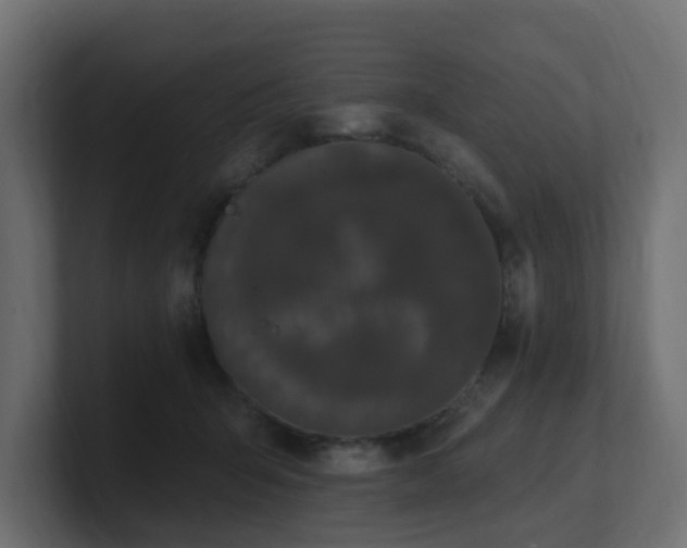 X0000101090415200806261455