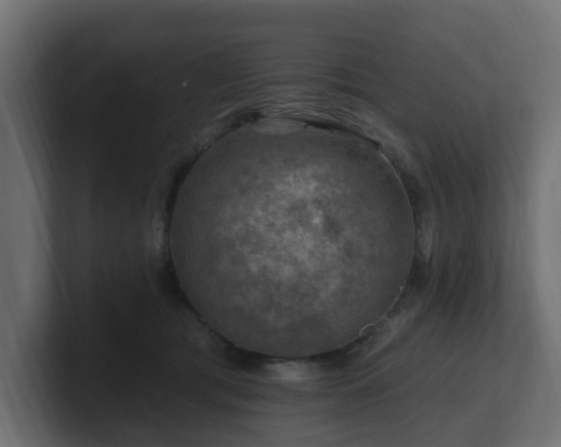 X0000101090417200806261455