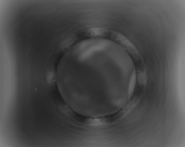 X0000101090419200806261455