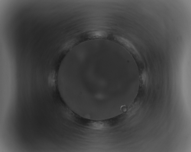 X0000101090423200806261455