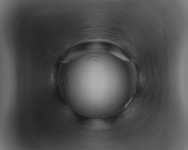 X0000101090424200806261455